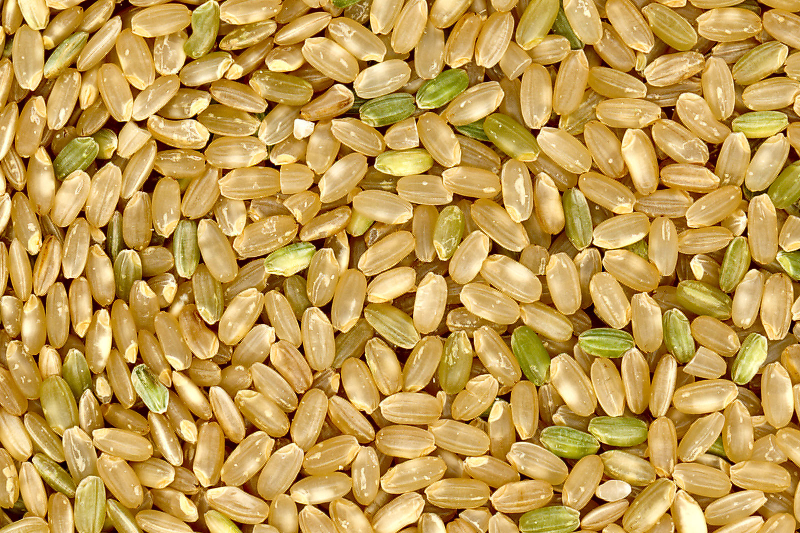 Gạo Lứt Nếp - Siêu Thị Gạo Ngon | Mua bán gạo trực tuyến